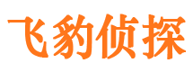 绿园寻人公司